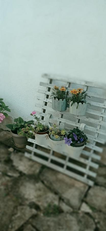 Apartment Silvija Vinišće Eksteriør bilde